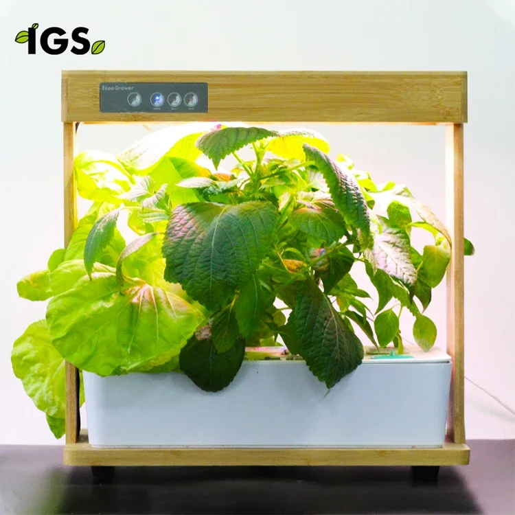 IGS-05 Indoor Hydroponic Smart Garden System Natural Bamboo Wooden LED Gorw Light Hydroponic System for Home