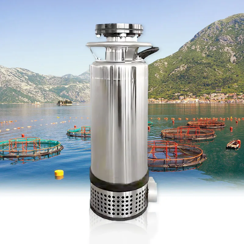 

6 8 10 12 Inch High Pressure Water Pumps for Pond Submersible High Volume Water Pump Low Head Big Flow Submersible Water Pump