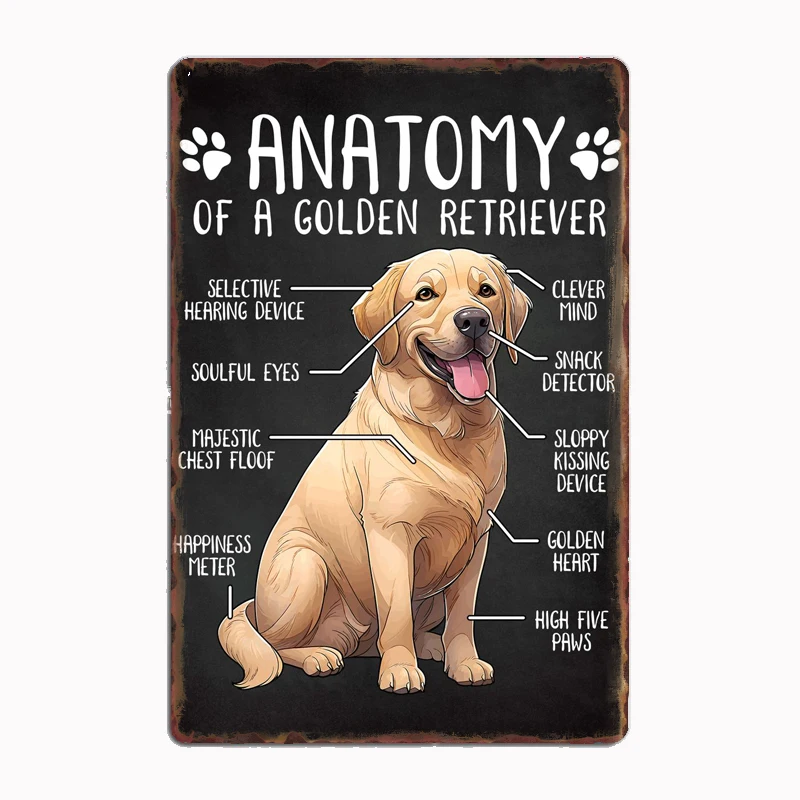 Anatomy of Golden Retriever Dog Metal Sign Mural Painting Cinema Living Room Cinema Funny Tin Poster Retro Man Cave Home Tavern