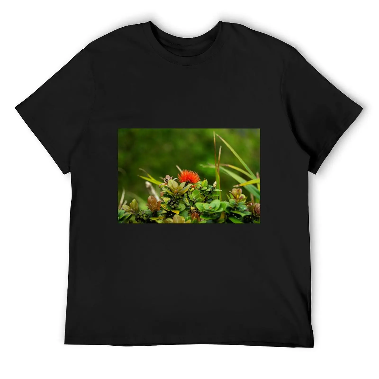 

Hōpoe Lehua T-Shirt Anime t-shirt Funny t-shirt street wear custom t shirt men clothings