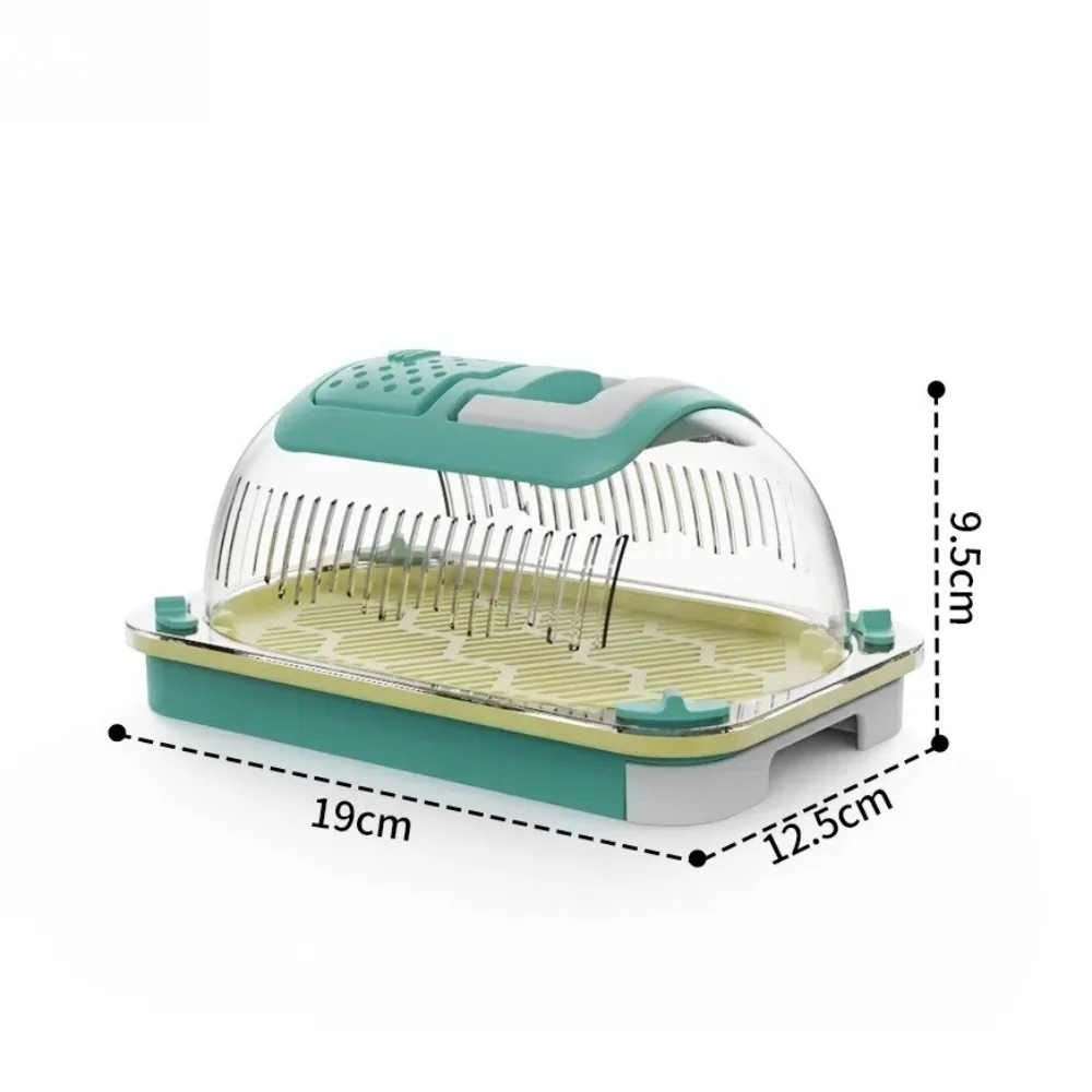 

Hand-held Insect Breeding Box Breathable Large Capacity Reptiles Observation Boxes Silkworms Snails Lizards Carrying Case