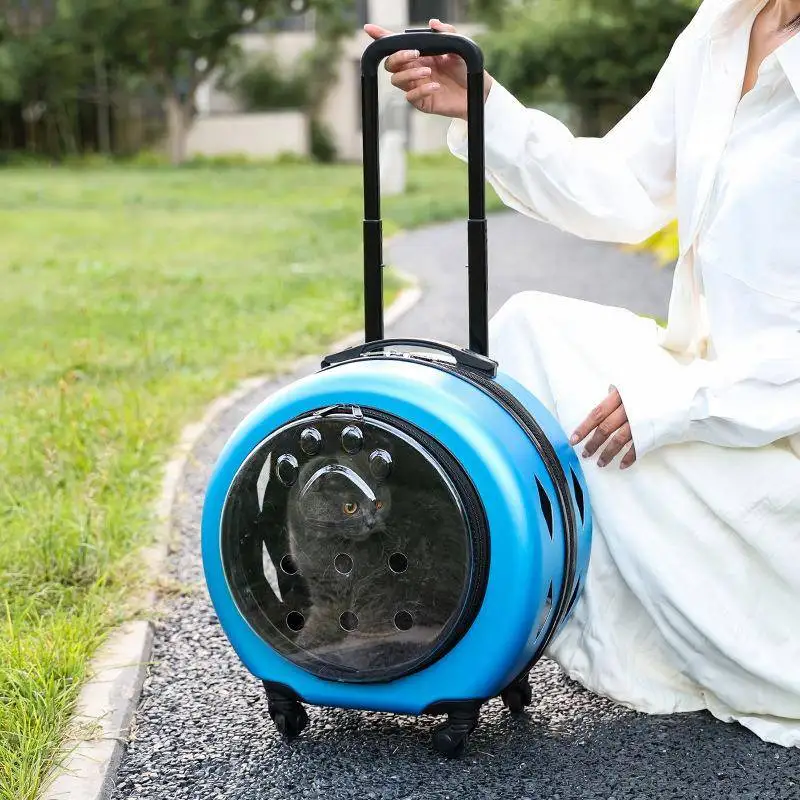 borsa-trasportino-portatile-trasparente-per-animali-domestici-design-a-capsula-per-viaggi-all'aperto-e-trasporto-in-auto-accessori-per-animali