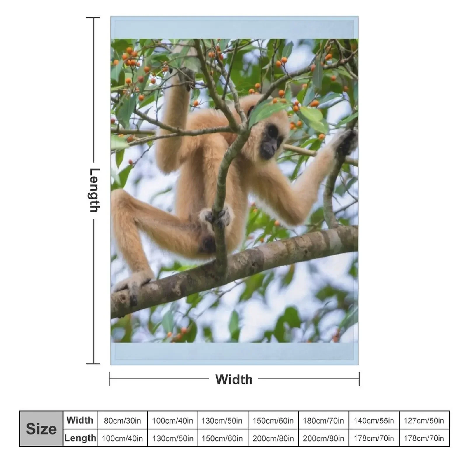 White-handed gibbon on Fig Tree Throw Blanket decorative Soft Plush Plaid Blankets