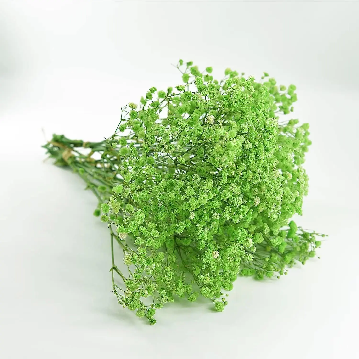 

Lush and Vibrant Green Baby's Breath Dried Flowers for Wedding Arrangements, Home Decor, and DIY Projects,Christmas Gift,