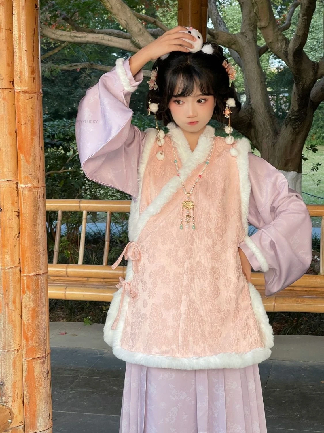 Ming Dynasty Style Hanfu women's Short Jacket With Velvet  Mamian Skirt Autumn And Winter Impeoved Hanfu Vest Ming Hanfu Set