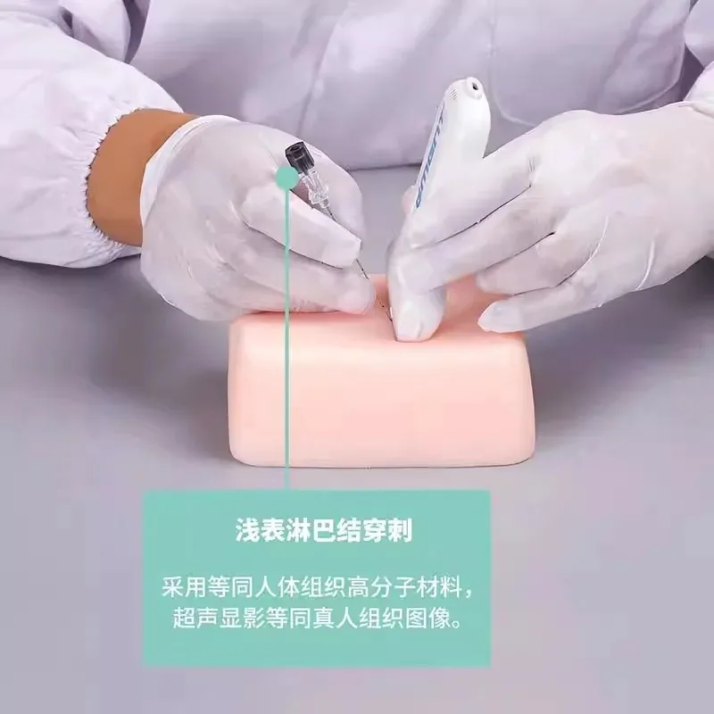 Ultrasound Puncture Training Phantom Model, Superficial Lymph Node & Small Lesion Biopsy Localization Practice Kit