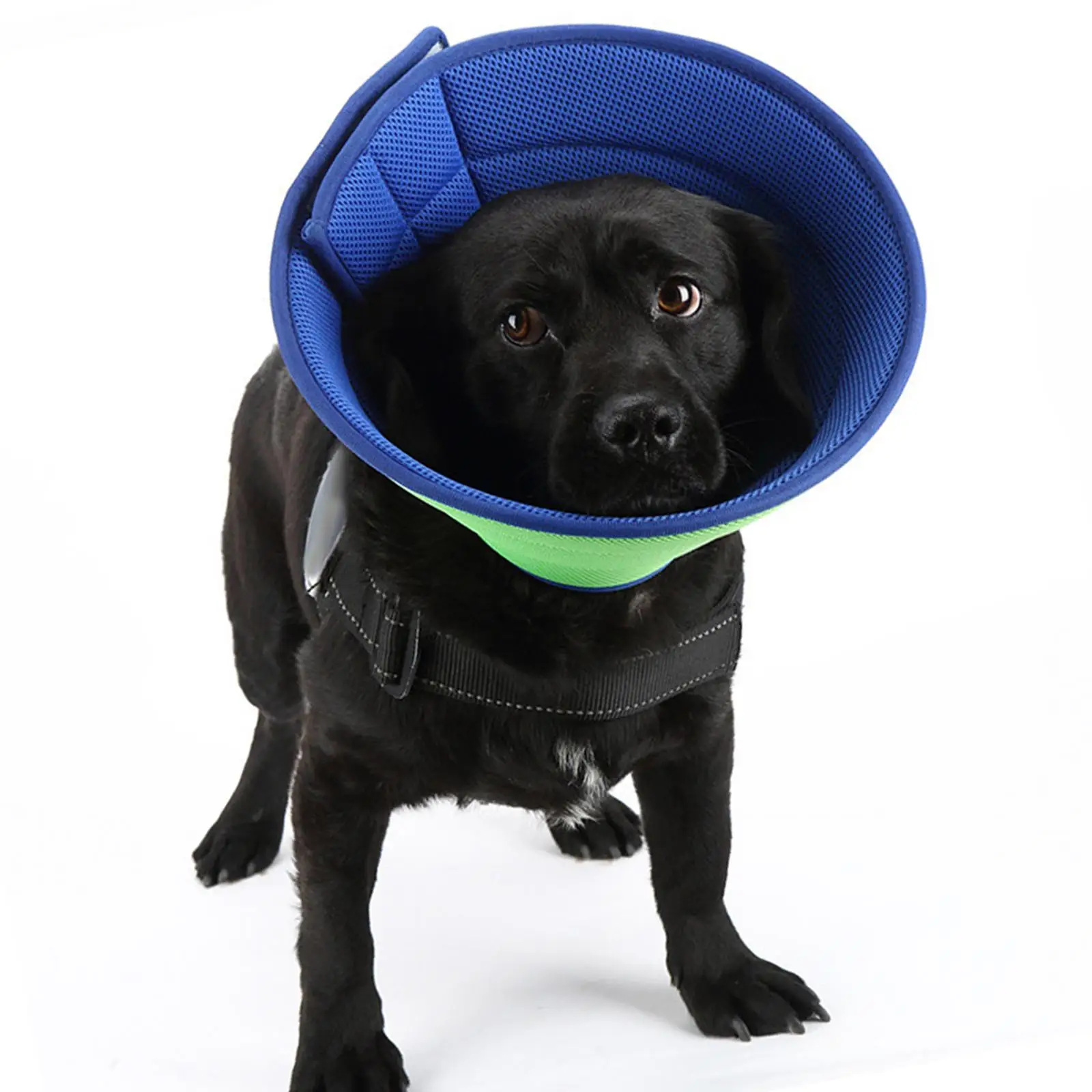 Breathable Cloth Mesh Pet Recovery Collar Soft Elizabethan Cone for Kittens Puppies Wound Care