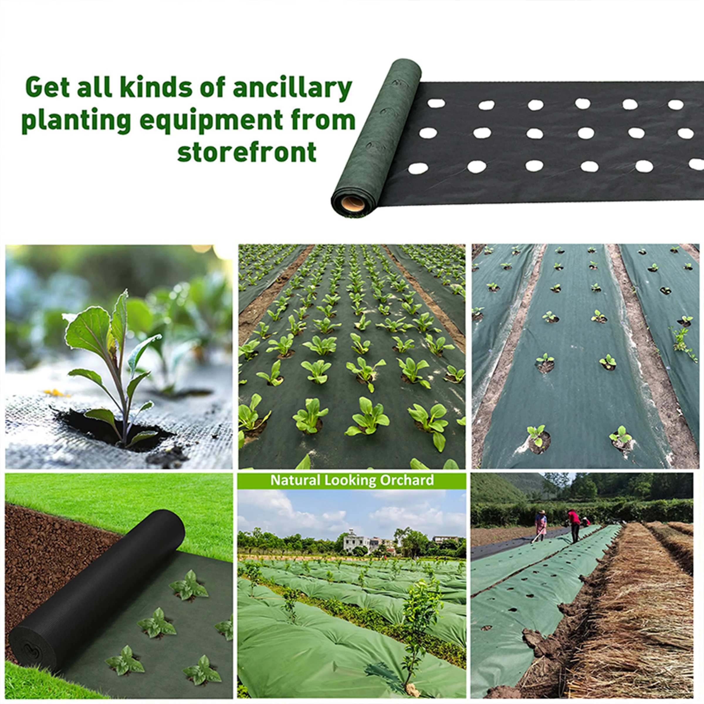 0.6M Wide Perforated Green Black Grass Proof Cloth,Including 10 Ground Nails,Suitable For Weed Barriers In Vegetables And Fruits image 3