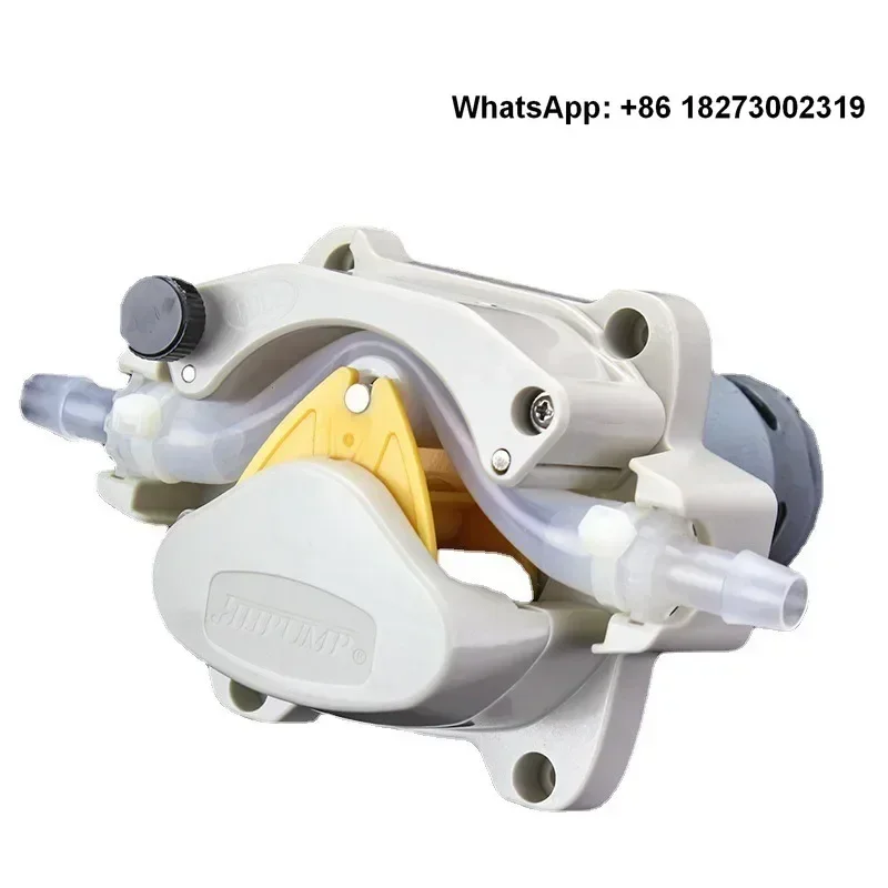 603Z micro peristaltic pump, small micro peristaltic pu mp, metering pump