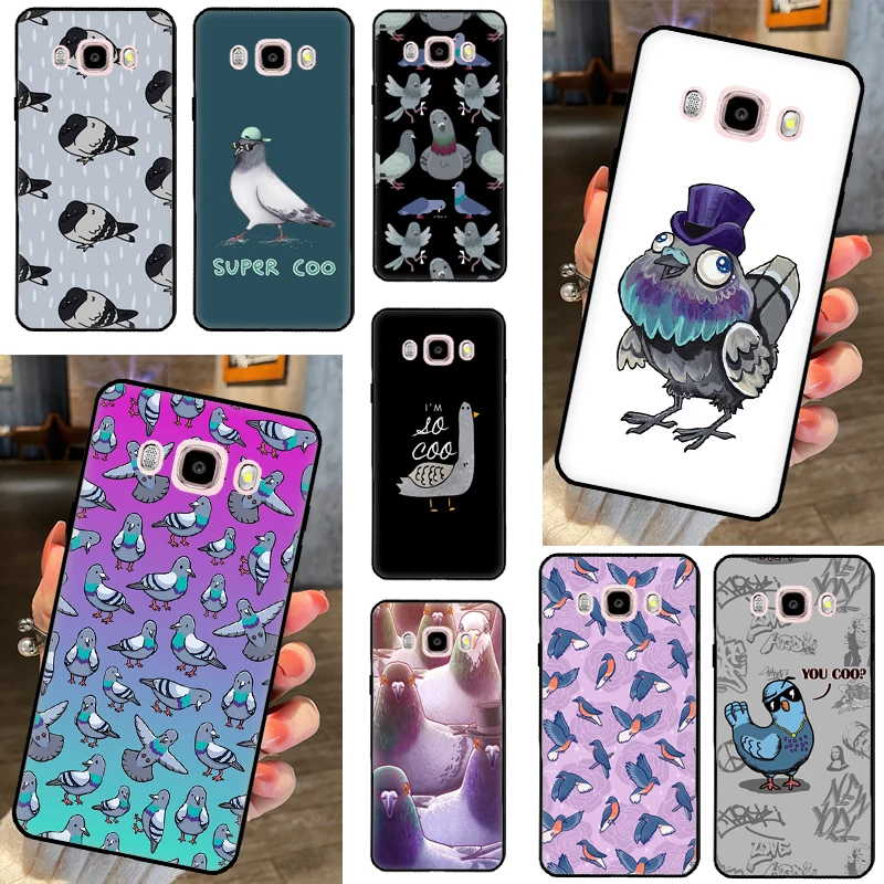 Pigeons Doves Bird … - image