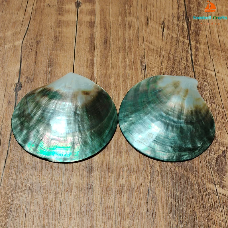 Black Mother of Pearl Shells Polished Pinctada Margarilifera Sea Shell Handmade Creative DIY Jewelry Beads Caviar Container