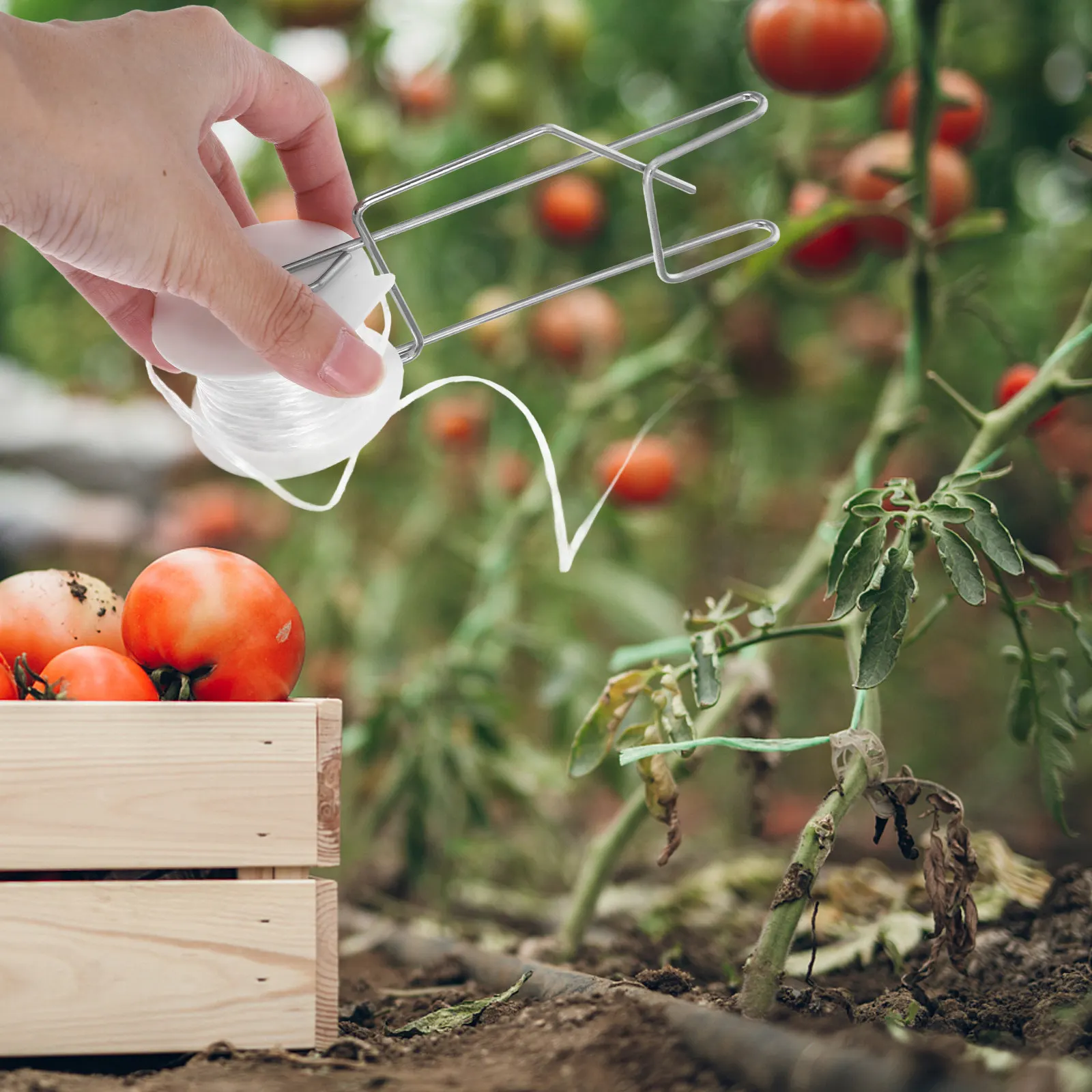 

6Pcs Plastic Tomato Hooks with String Space Saving Lattice Line Support for Greenhouse Plants Crop Training Kit