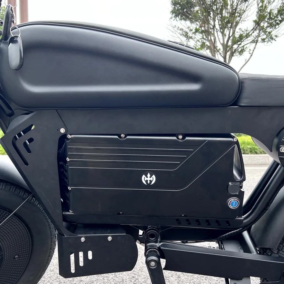 Design EBIKE 30ah 60ah Ready  Sting Electrically Mountain City Fatbike 20 Inch Fat Tire Electric Bike image 3