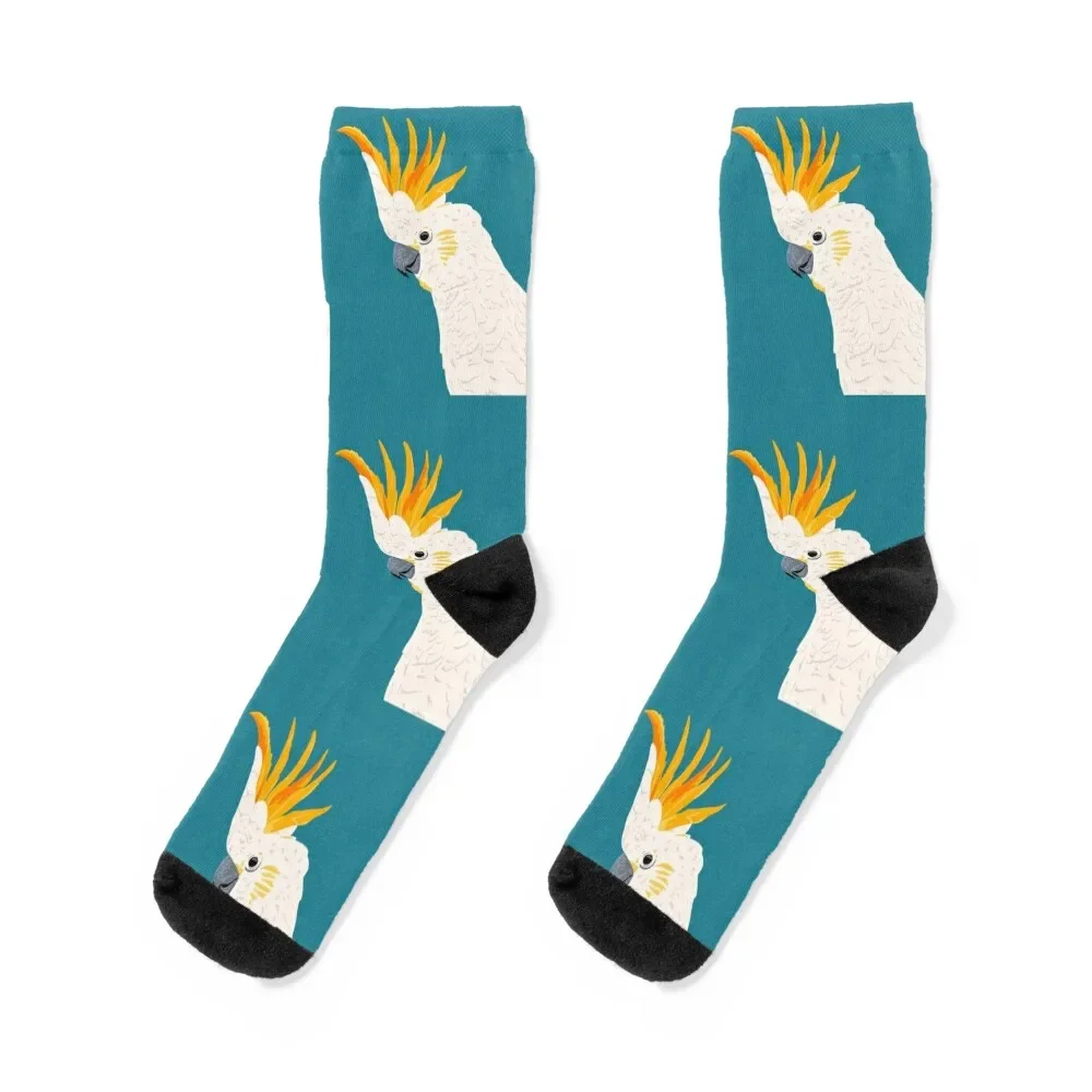 Citron Crested Cockatoo Portrait Socks designer gift Toe sports Thermal man winter Luxury Woman Socks Men's