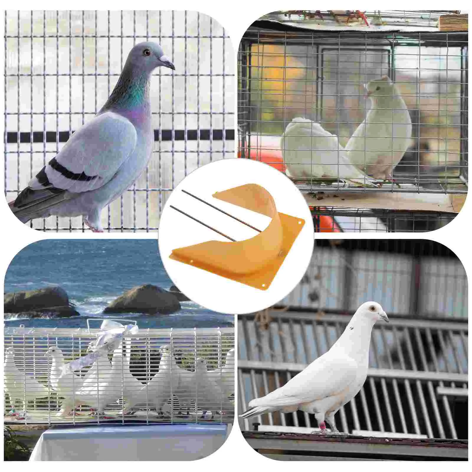 2Pcs European Style Pigeon Racing Door Bird Door Entrance Door Pigeon Cage Accessories