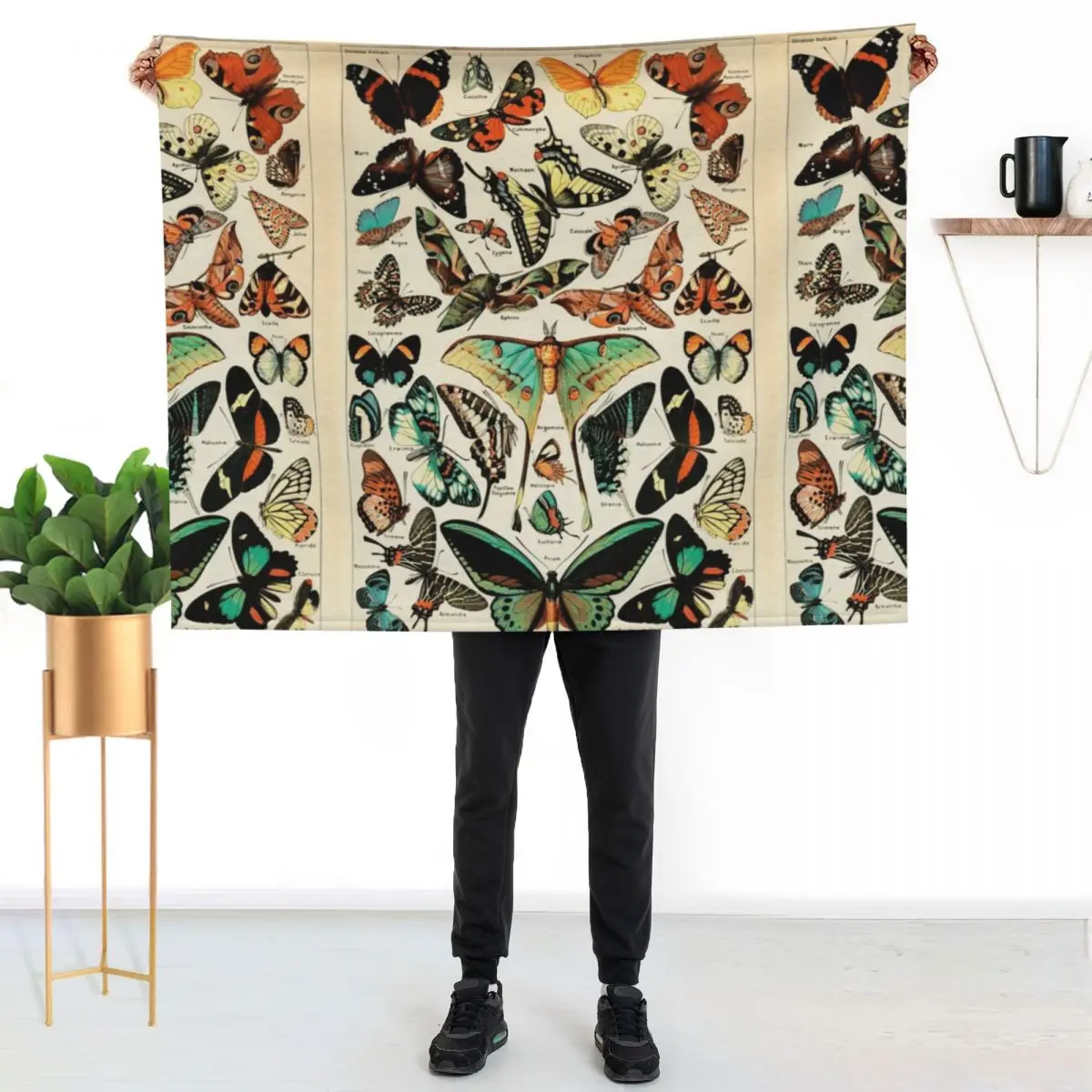 

Papillon I Vintage French Butterfly Charts by Adolphe Millot Throw Blanket Travel Size Cozy Blanket for Plane Train