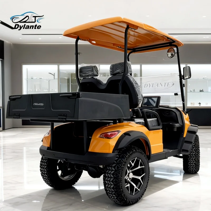 Personalized Custom Mini 2 Seat 5kW Electric Golf Cart Low-Price Custom Lithium Battery Van Version Golf Cart Off-Road Legal