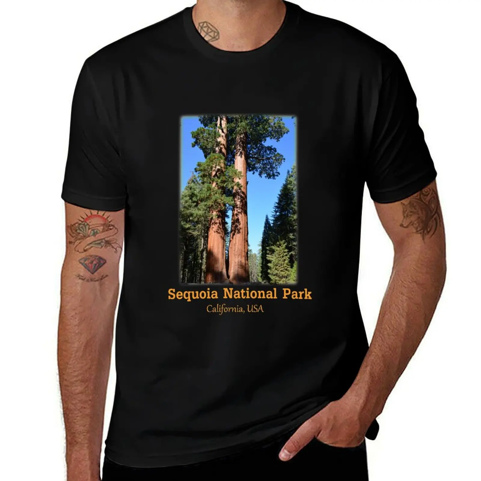 

Giant sequoia trees in Sequoia National Park T-Shirt Urban Style Print T-Shirt