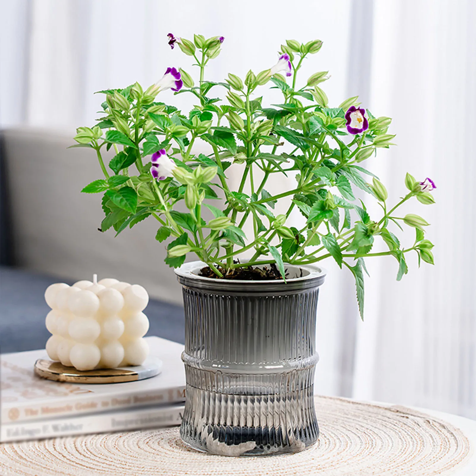 Fresh Color Self Watering Planters Visible Large Capacity Flower Pots for Living Room Bedroom Study B88