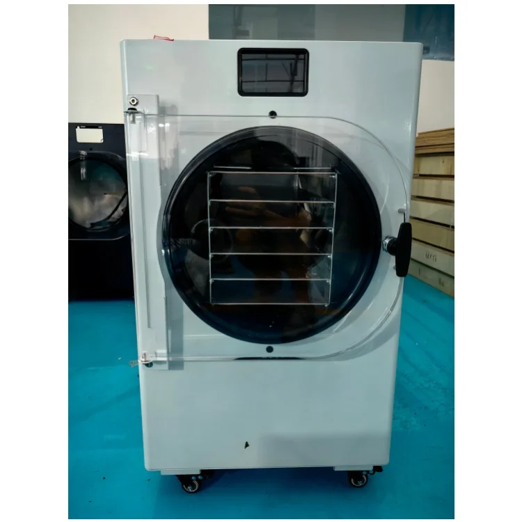 Compact Home Use Freeze Dryer With Full Set Vacuum Pump Household Food Lyophilization Equipment
