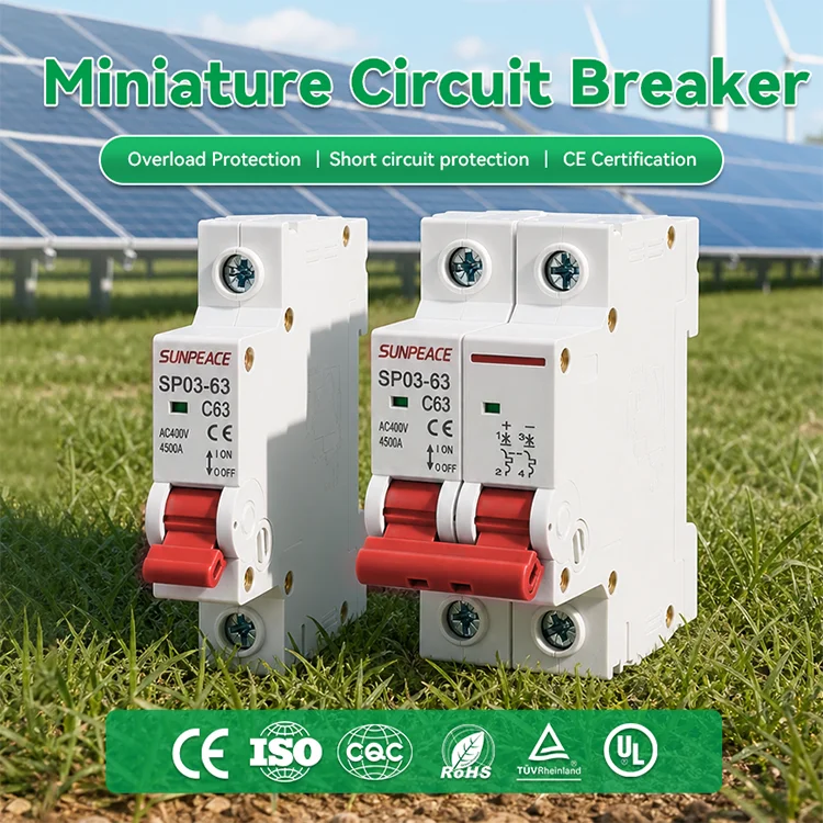 DZ47 2P AC MCB 230V 10A 16A 20A 25A 32A 40A 50A 63A Type C Mini Circuit Breaker Din Rail Mount Breaking Capacity