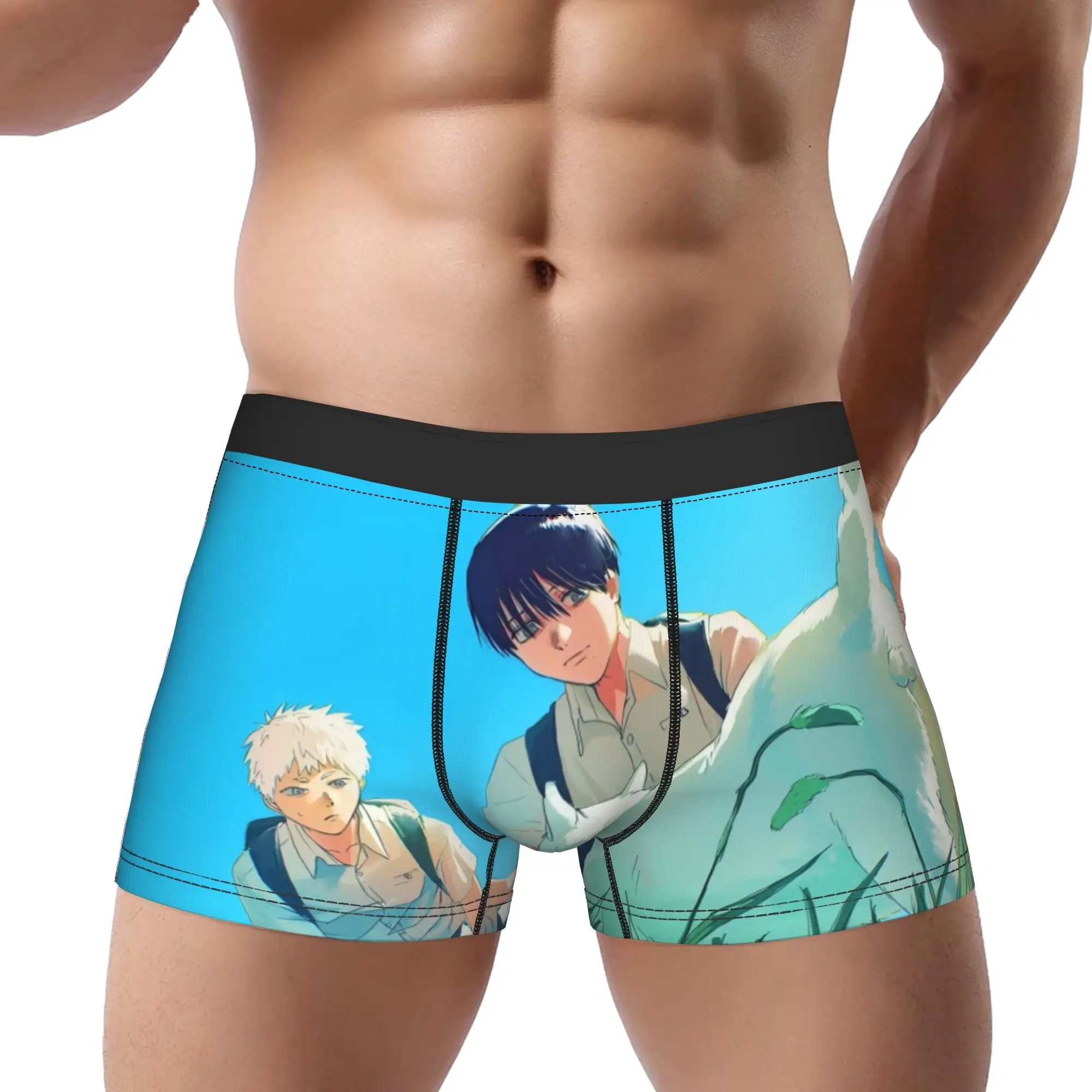 

Мужские трусы-боксеры Summer Hikaru: дышащие, вентилируемые шорты