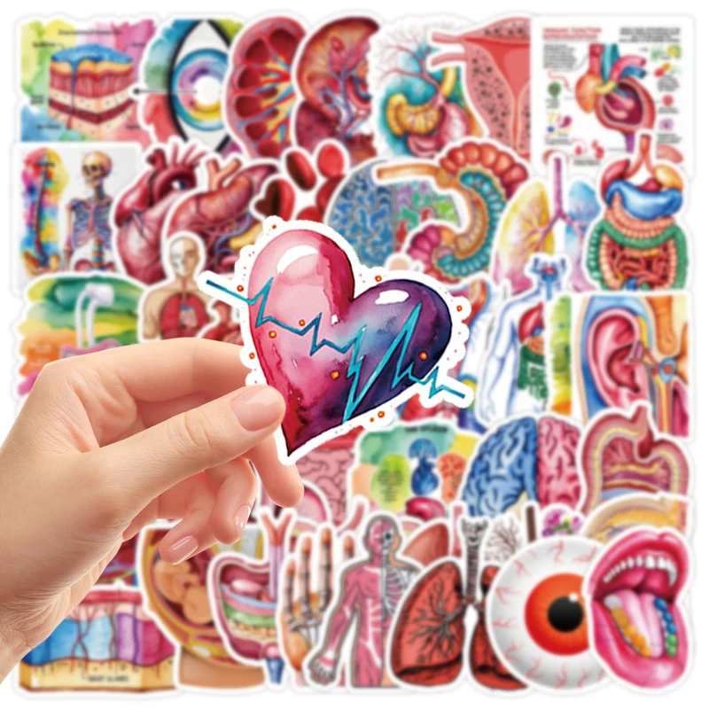 50Pcs Medical Anatomy Organ Stickers Cartoon Creative Decals for Skateboard Guitar Notebook Helmet Laptop DIY Kids Gift