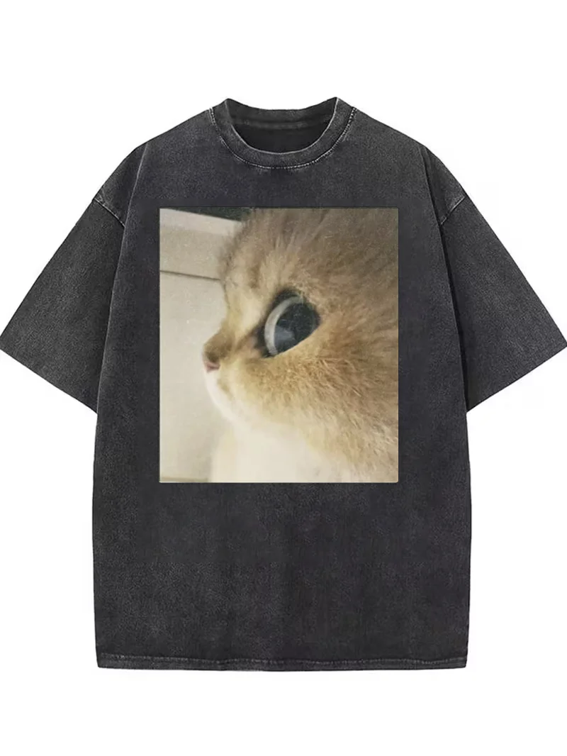 Funny Angry Cat Dinosaur Meme Graphic T-Shirt, Retro Washed Tee For Men Women Travel Daily Vacation Stylish Casual Street Looks