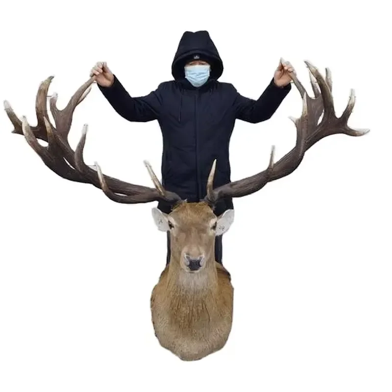 for Deer Head Wall Decor Giraffe Specimen Hanging Ornament Oversize Animal Trophy Home Living Room Office Interior Design