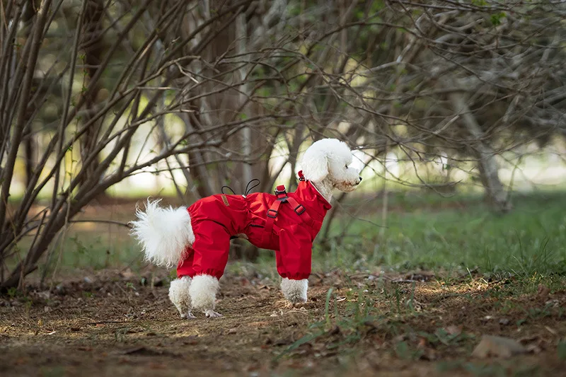 Hunderegenmantel mit Geschirr, wasserdichte Haustier-Regenjacke für kleine Hunde, verstellbarer, reflektierender Hunde-Regenoverall mit 4 Beinen – Detail 14