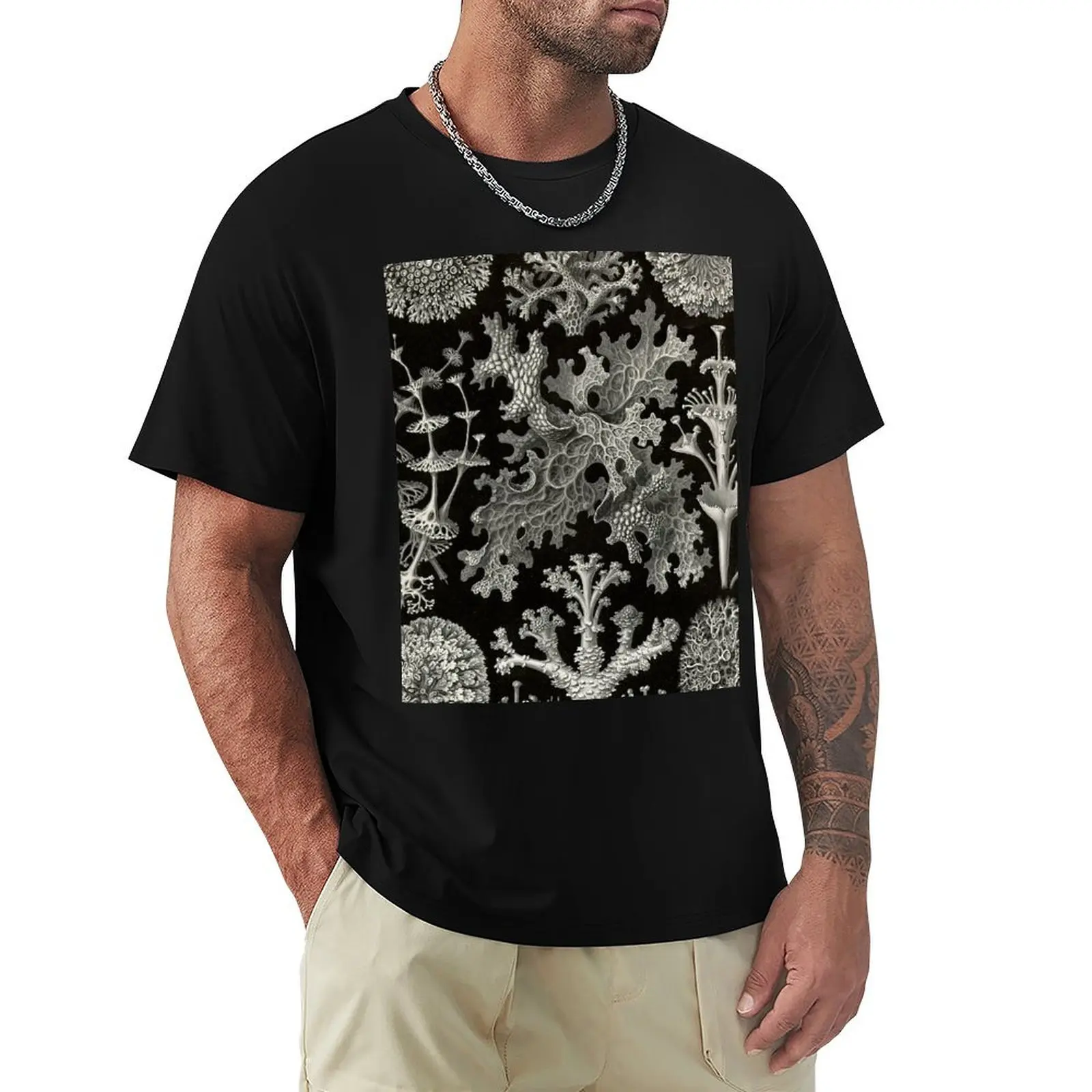

Lichenes (Thallophytes - Lichens) - Ernst Haeckel T-Shirt customizeds kawaii clothes mens vintage t shirts