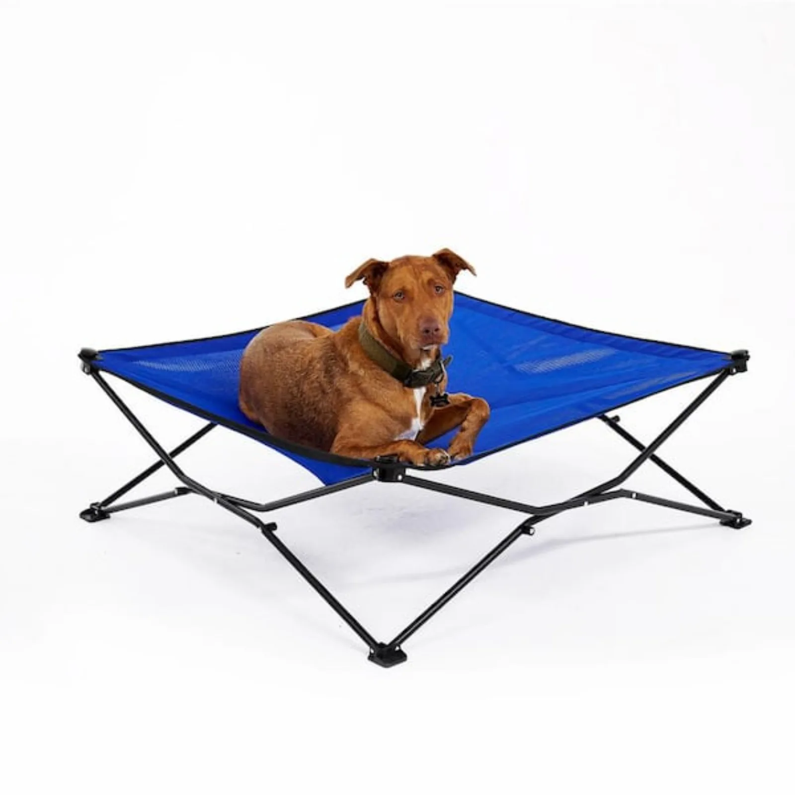 

On the Go Elevated Pet Bed, King, Aquatic Blue