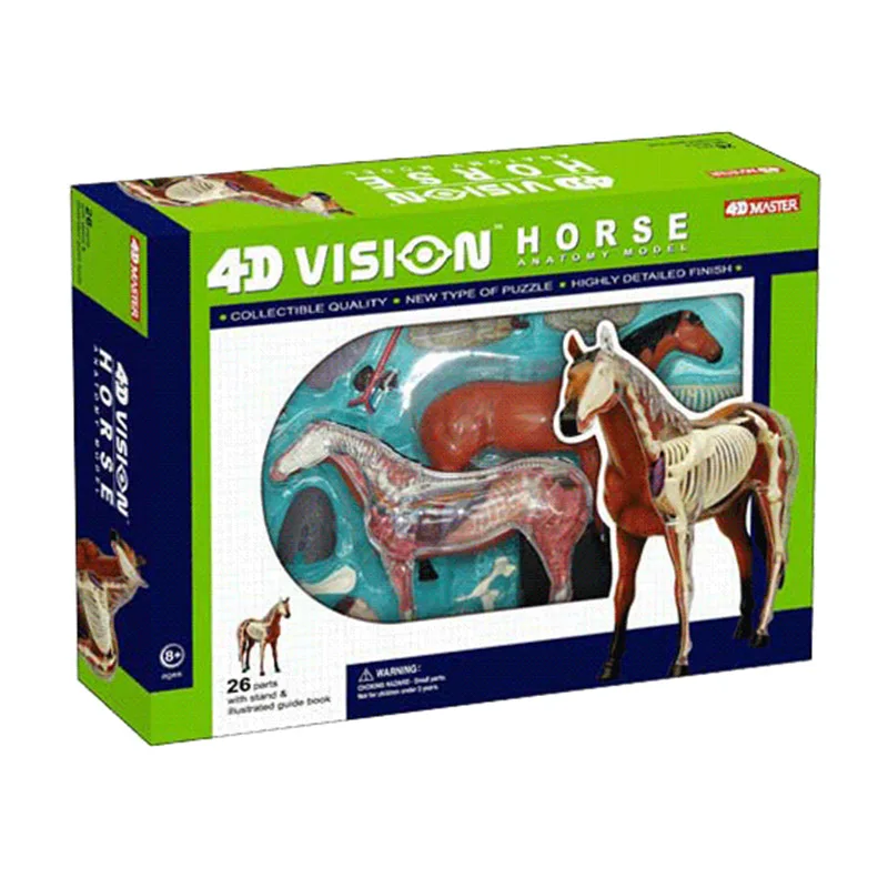 4D Vision Horse Organ Anatomy Model Animal Puzzle Toys for Kids and Medical Students Veterinary Teaching Model