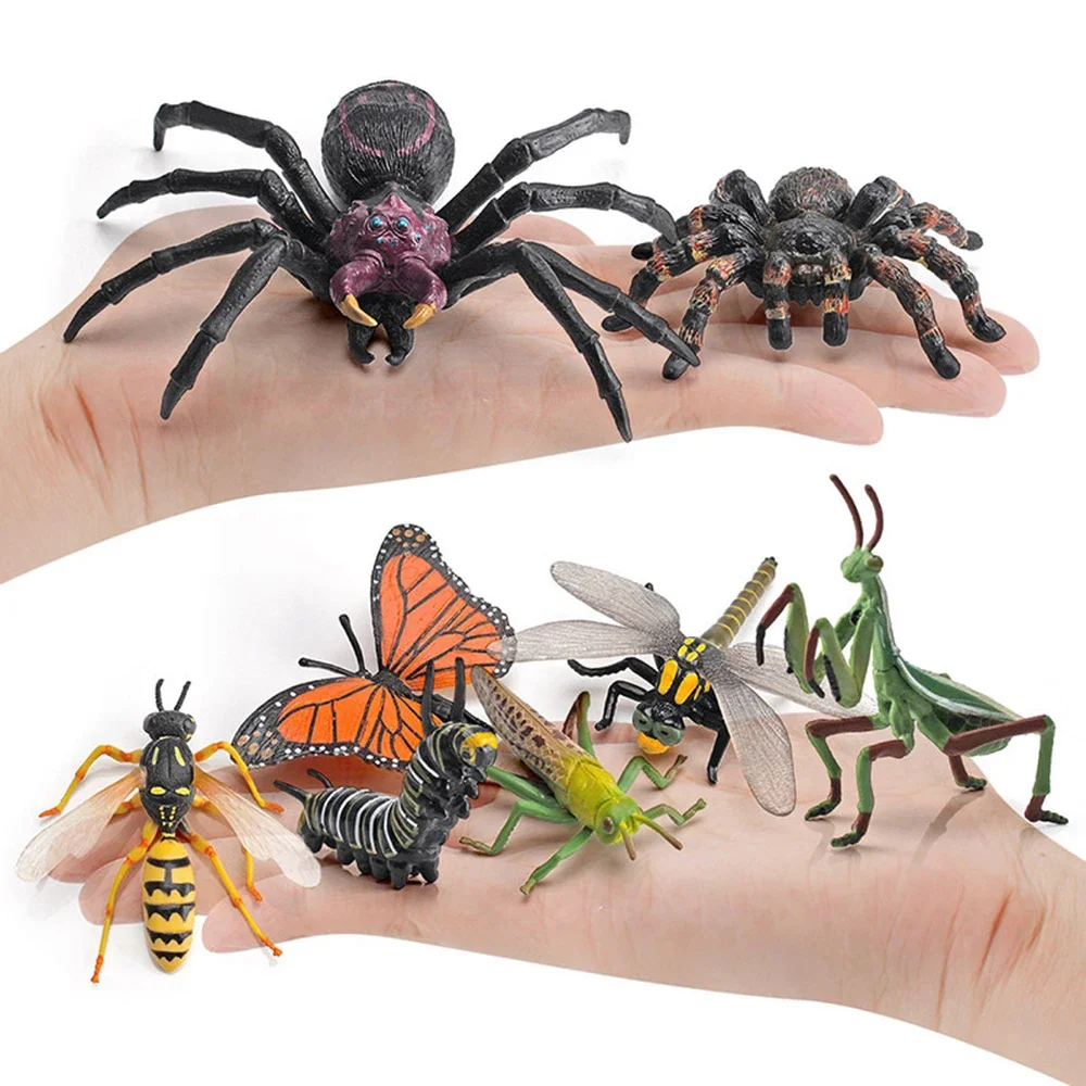 Figurines d'action de simulation d'insecte pour enfants, araignée d'Auckland, équation de papillon, mante, criquet, libellule, modèles, jouets de décoration d'intérieur