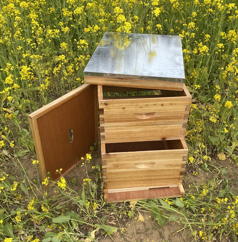 New Hot Sale Apiculture Equipment Beehives Langstroth Fir Pine 10 Frame With Two Deep Boxes Beehives For Sale