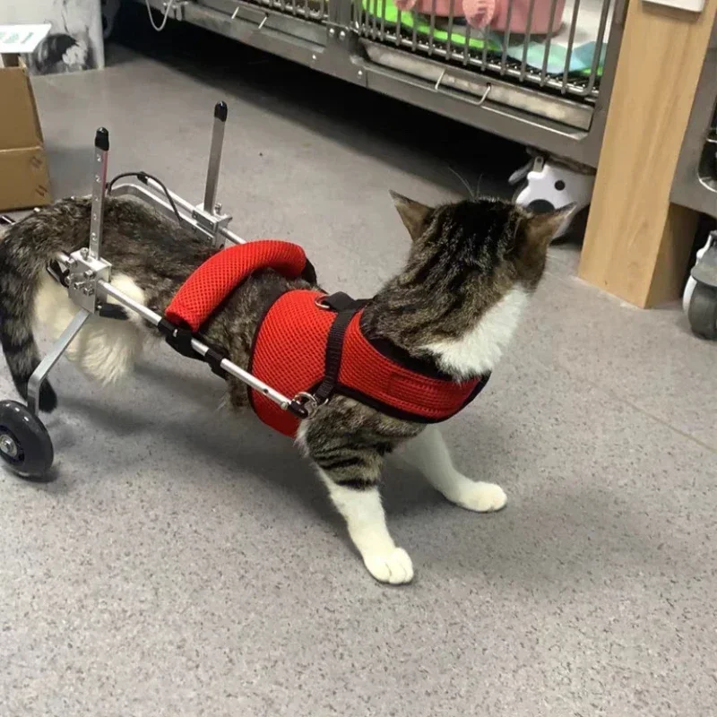 Disabled Pet Wheelchair 2-Wheel Rear Support Walker Adjustable Rehabilitation Cart for Paralysis Hind Legs of Cats Dogs Rabbits
