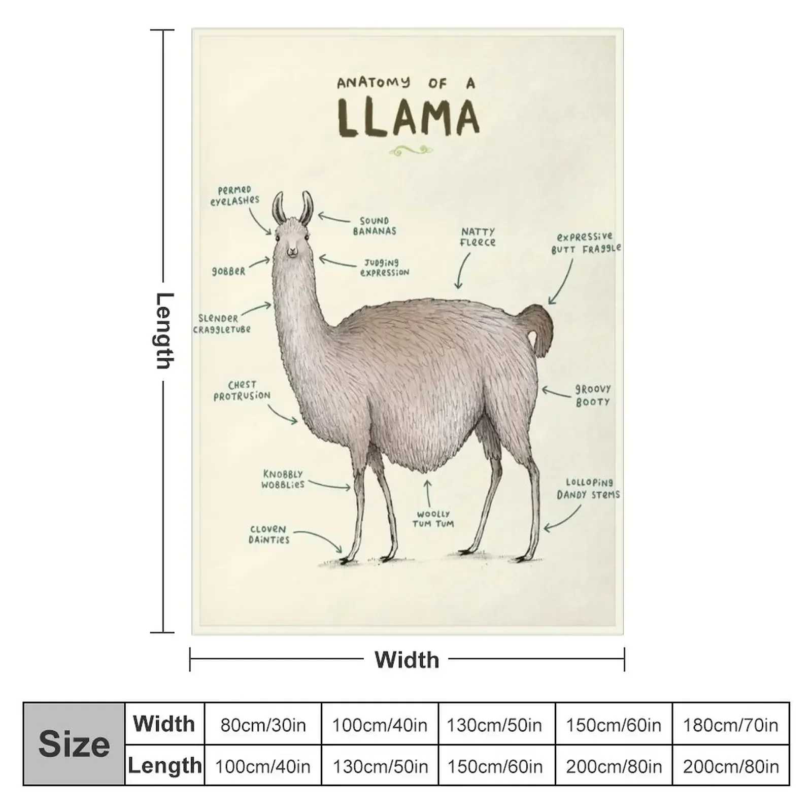 Anatomy of a Llama Throw Blanket Baby wednesday Sofa Quilt warm winter Luxury Throw Hairys Blankets
