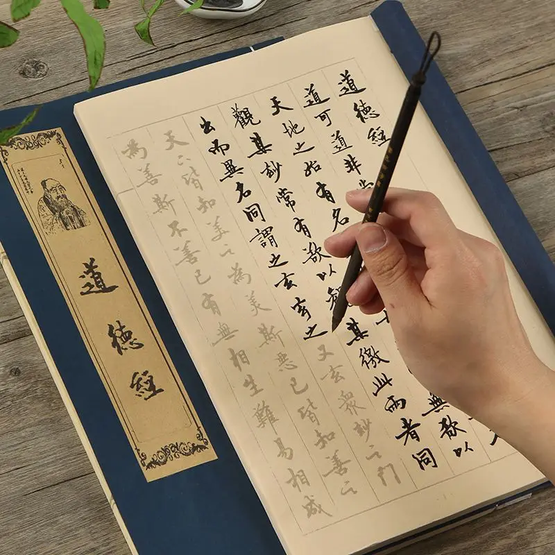 Adult Chinese Calligraphy Practice Copybooks Chinese Character Calligraphy Book Multiple Type Soft Brush Calligraphie Book