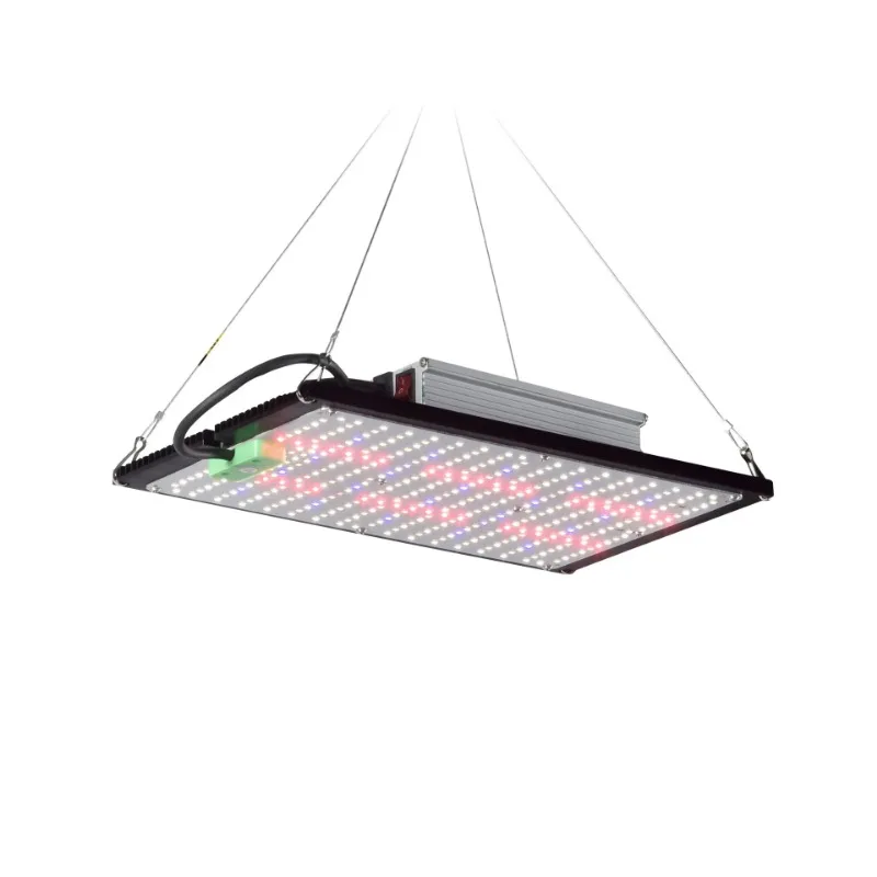 Timer Seedling Dimming LED Grow Hydroponic Vegetable Flower Safety Indoor Plant Luminous Grow Light Full Spectrum Fast Delivery