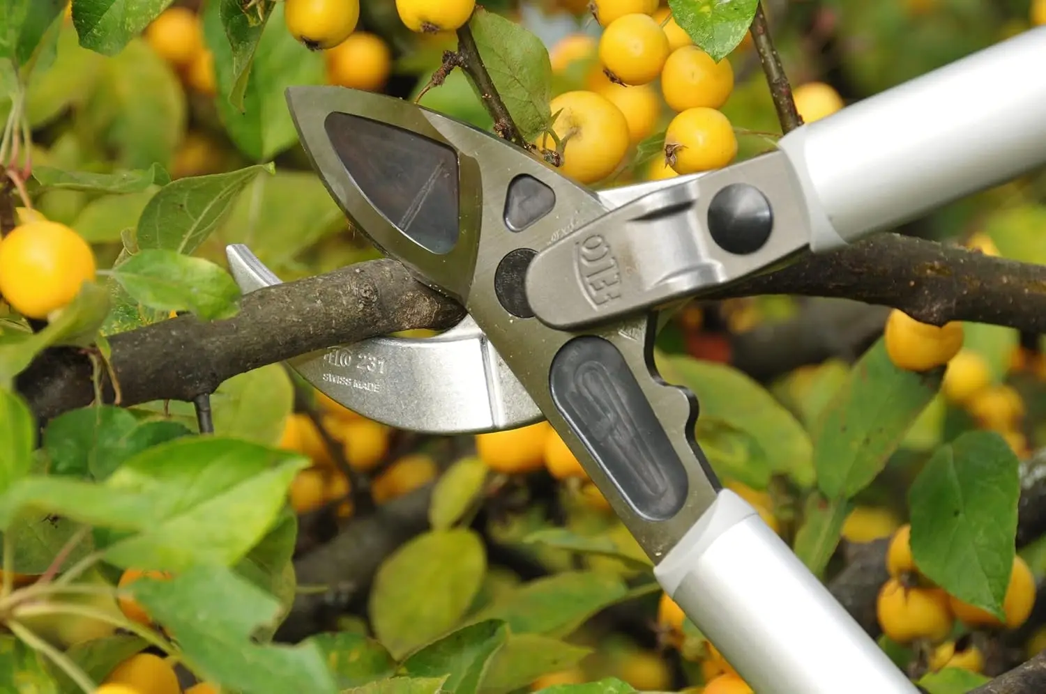 Poda cisalhamento, 231