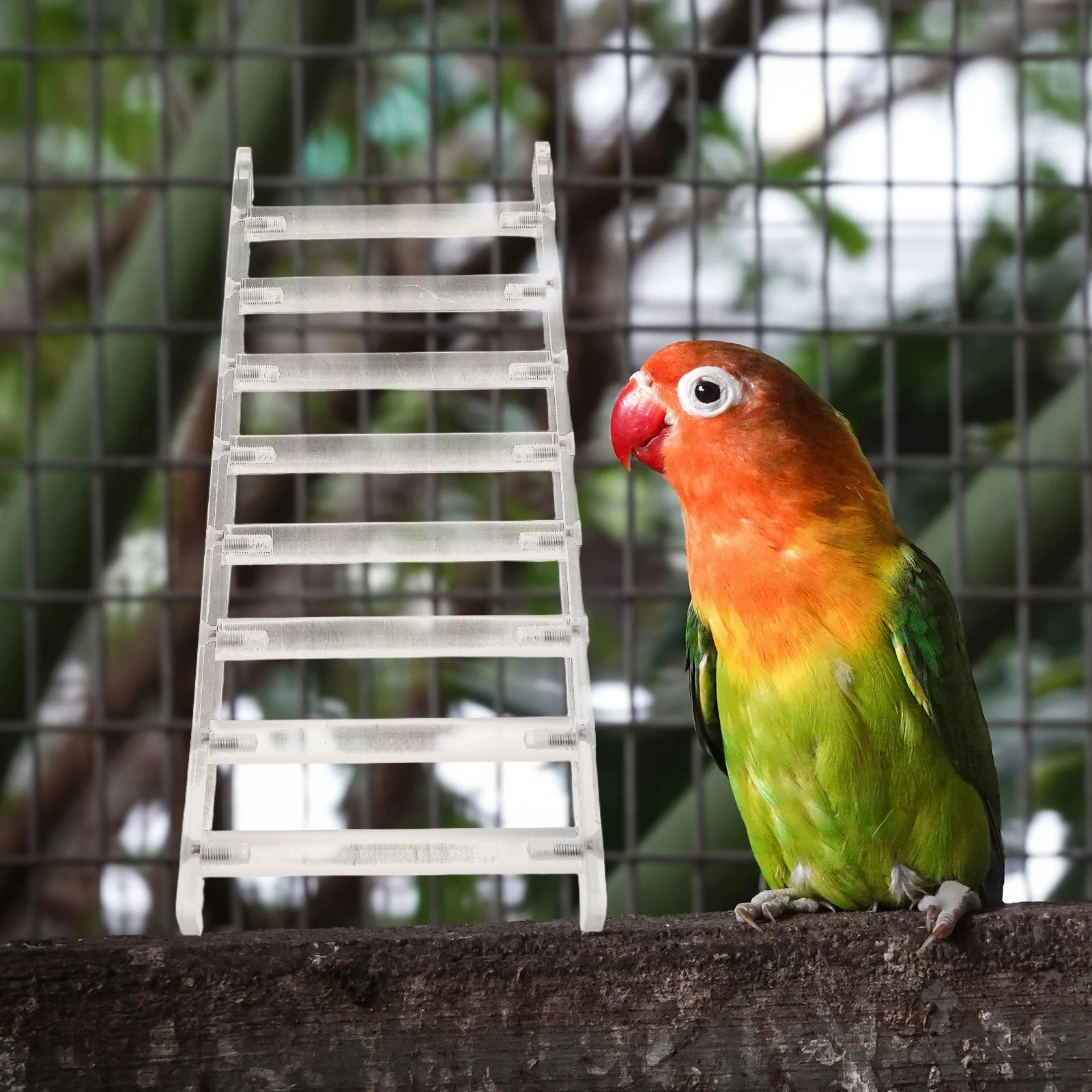 

Parrot Climbing Ladder Aesthetic Durable Design Enhances Bird Cage Environment Suitable Various Cages Bird Climbing Ladder