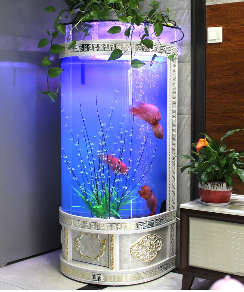 Fish Tank Living Room Floor to Floor Home Semi circular Lazy Person No Change Water Ecological Aquarium Wall Small Tank