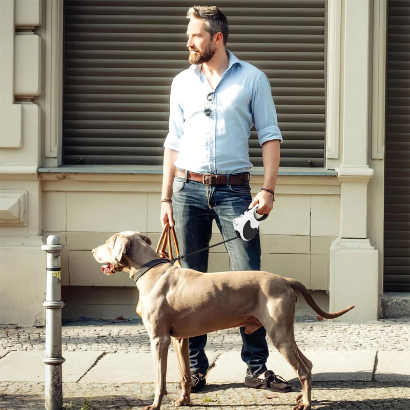 

Поводок для домашних животных поставляется с подсветкой, автоматический выдвижной, поводок для кошек, поводок для собак с подсветкой, удлиненная цепочка для собак, улучшенная версия света