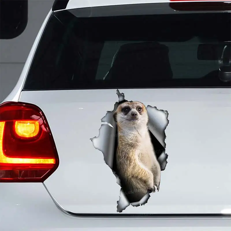 

Meerkat Pet Animal Car Sticker Waterproof Vinyl Decal on Bumper Rear Window Laptop Self-adhesive Decal For Car Accessories SH257