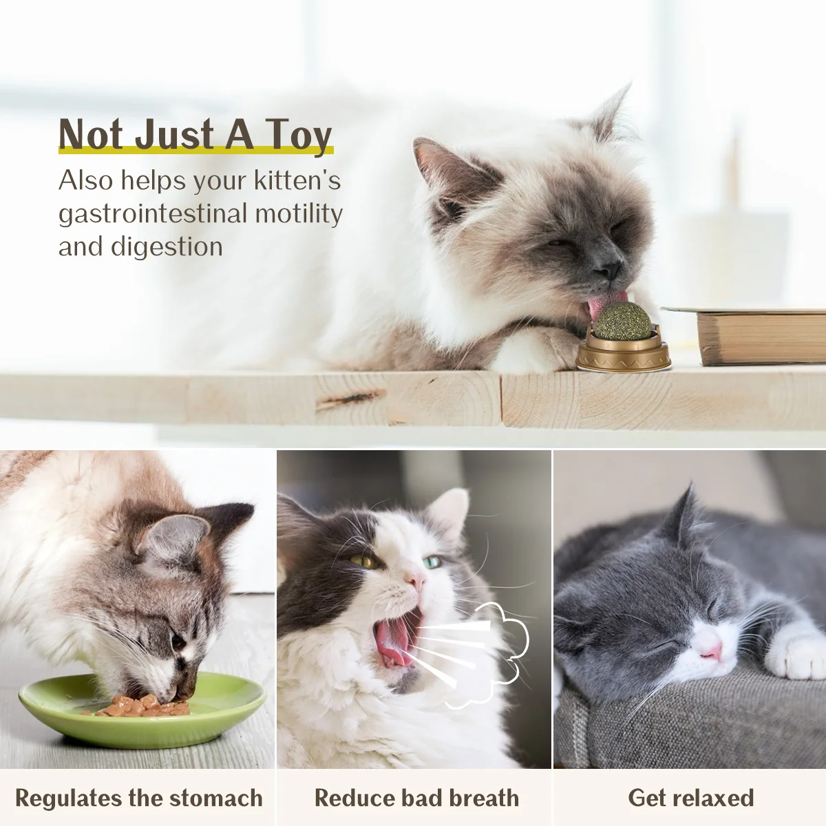 

Cat Digestion Promoter Ball Edible Spherical Cat Treat Licking For Digestion Wall Sucking Dental Care Pet Supplies