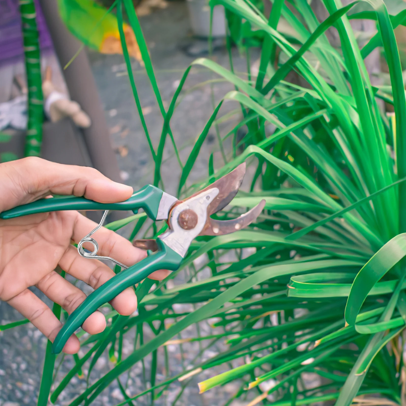 

10pcs Wool Shears Springs Stainless Steel Reusable Sheep Pruner Clipper Scissor V-shape Replacement Springs Trimming Tool Pet