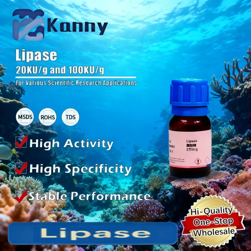 Lipase Enzyme for Biochemical and Research Applications Original Product