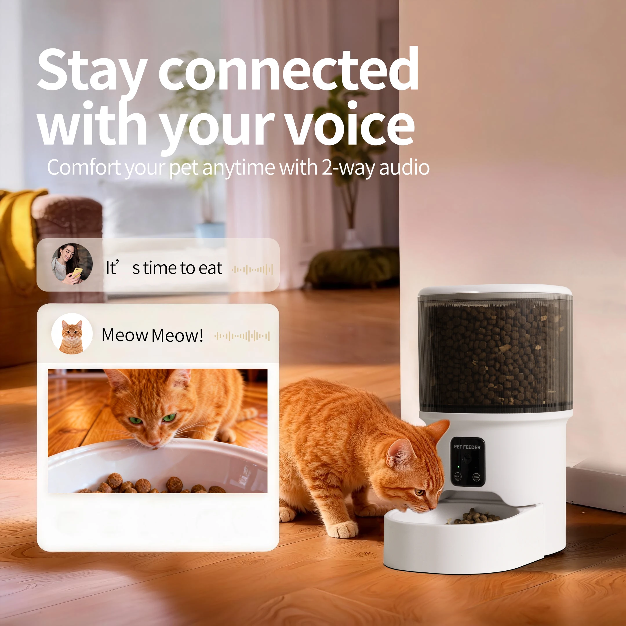 Thumbnail 4 - #27 Top 40 Smart Dog Feeders Worth Buying In 2026