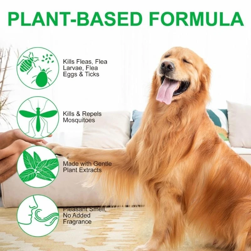 Tratamiento pulgas para gatos Prevención y control poderosos para huevos huevos Fgasas y prevención garrapatas