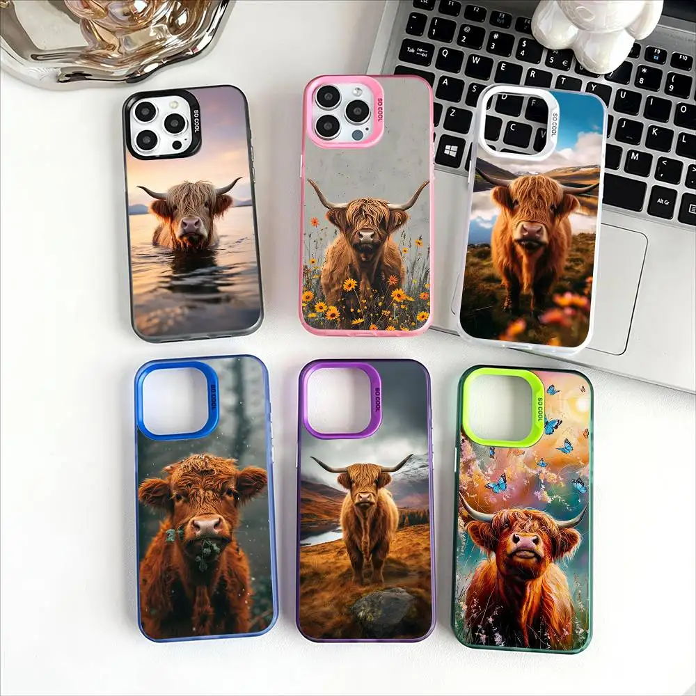 Cute Highland Cow P…